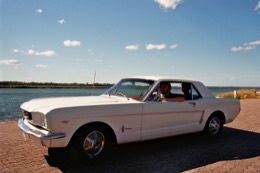 Weißer Ford Mustang am Wasser