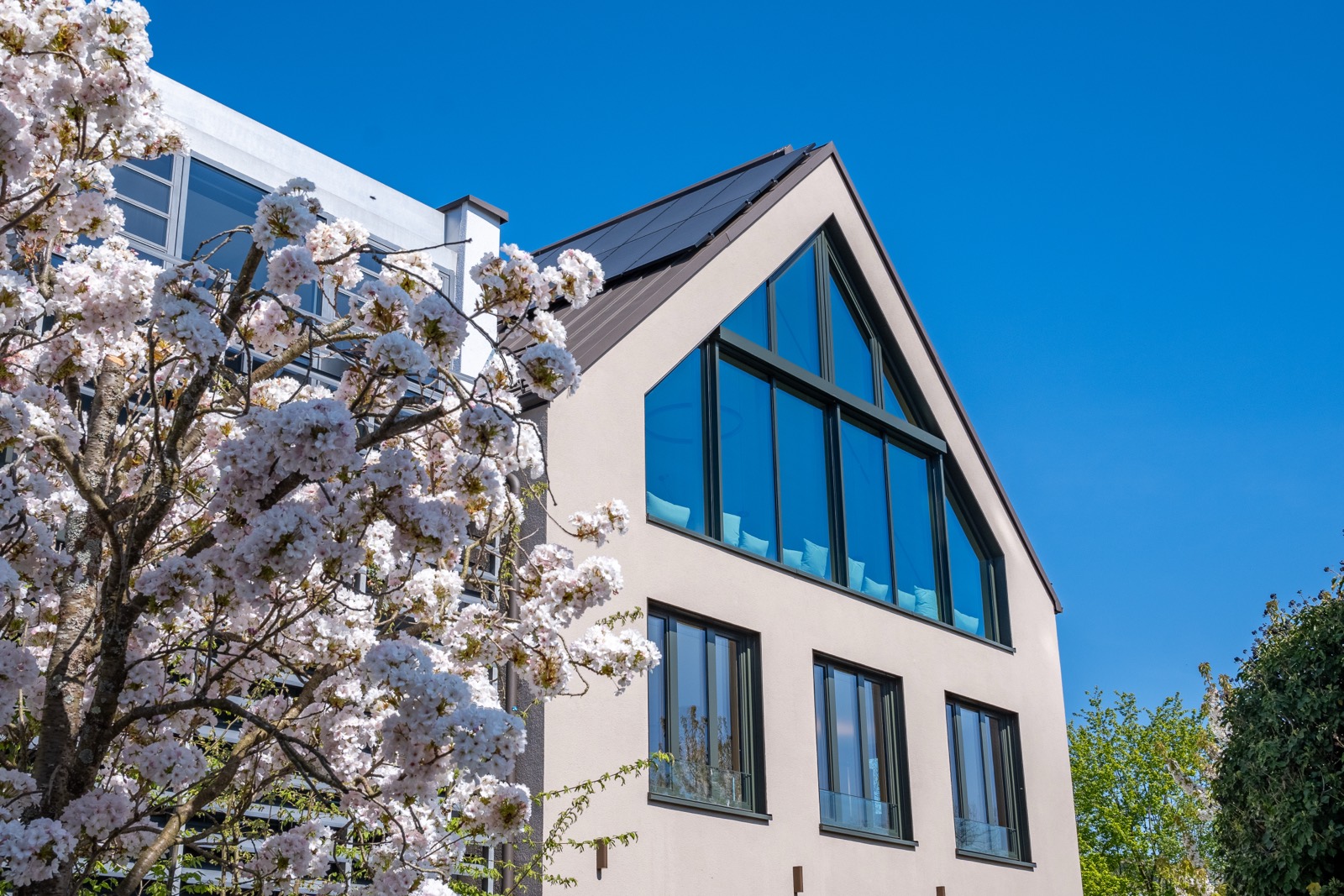Giebel des Neubaus mit Glasfront hinter blühendem Kirschbaum