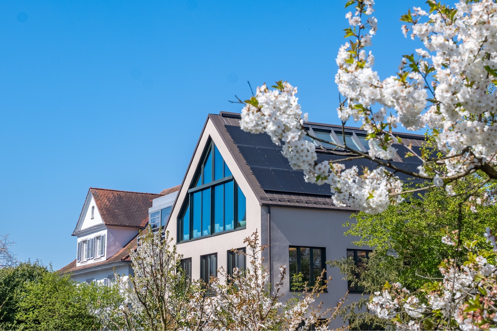 Neubau mit Glasgiebel zwischen blühenden Bäumen