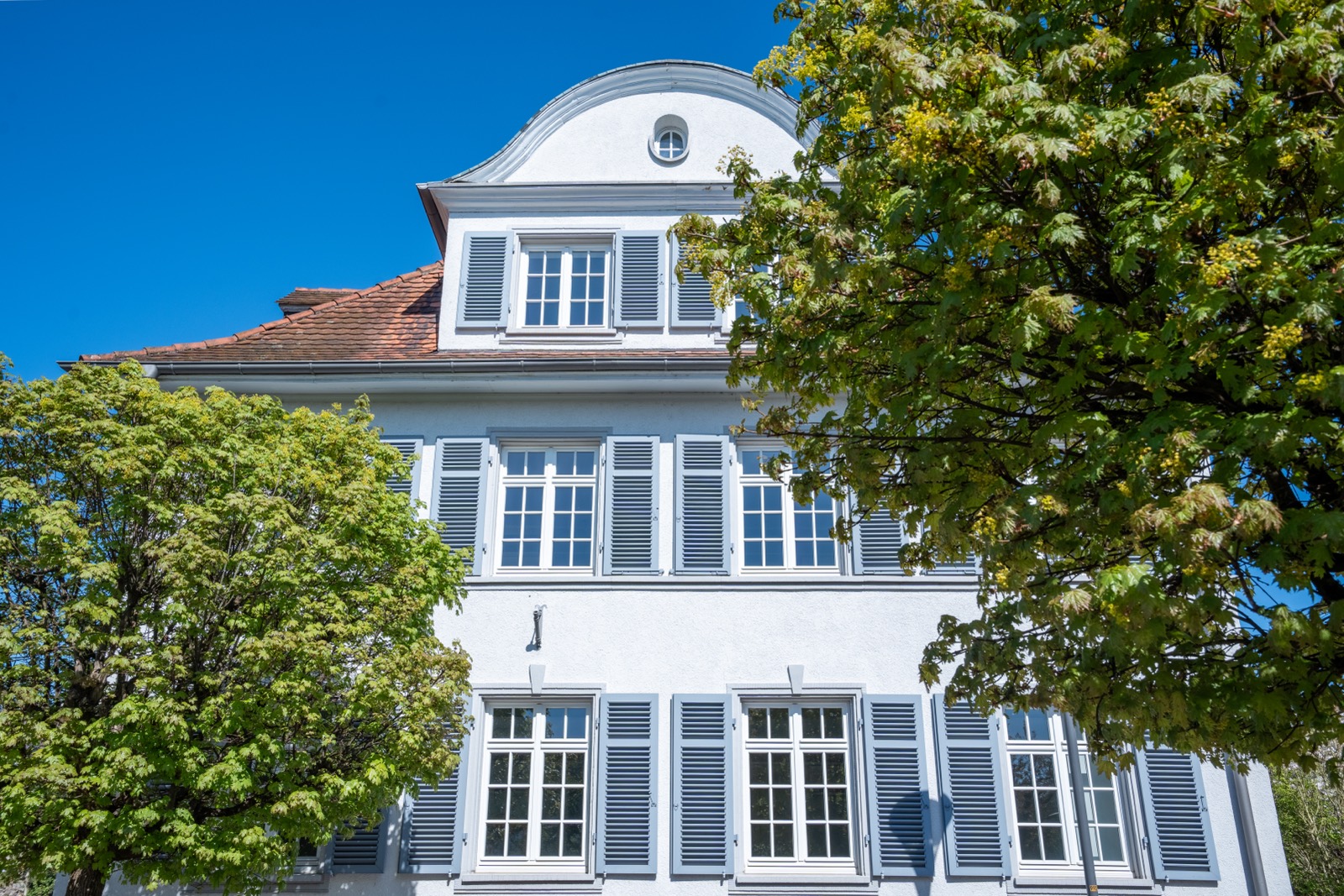 Villa zwischen Bäumen, frontal