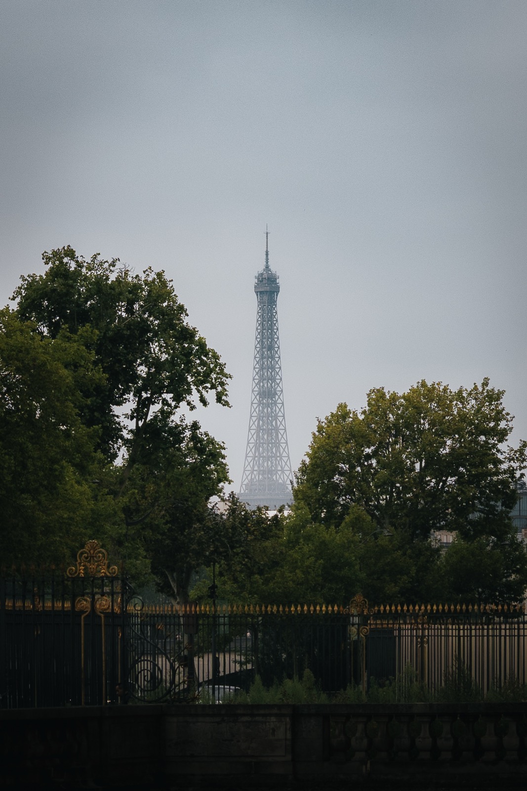 Eiffelturm hinter Bäumen und einem Gitter