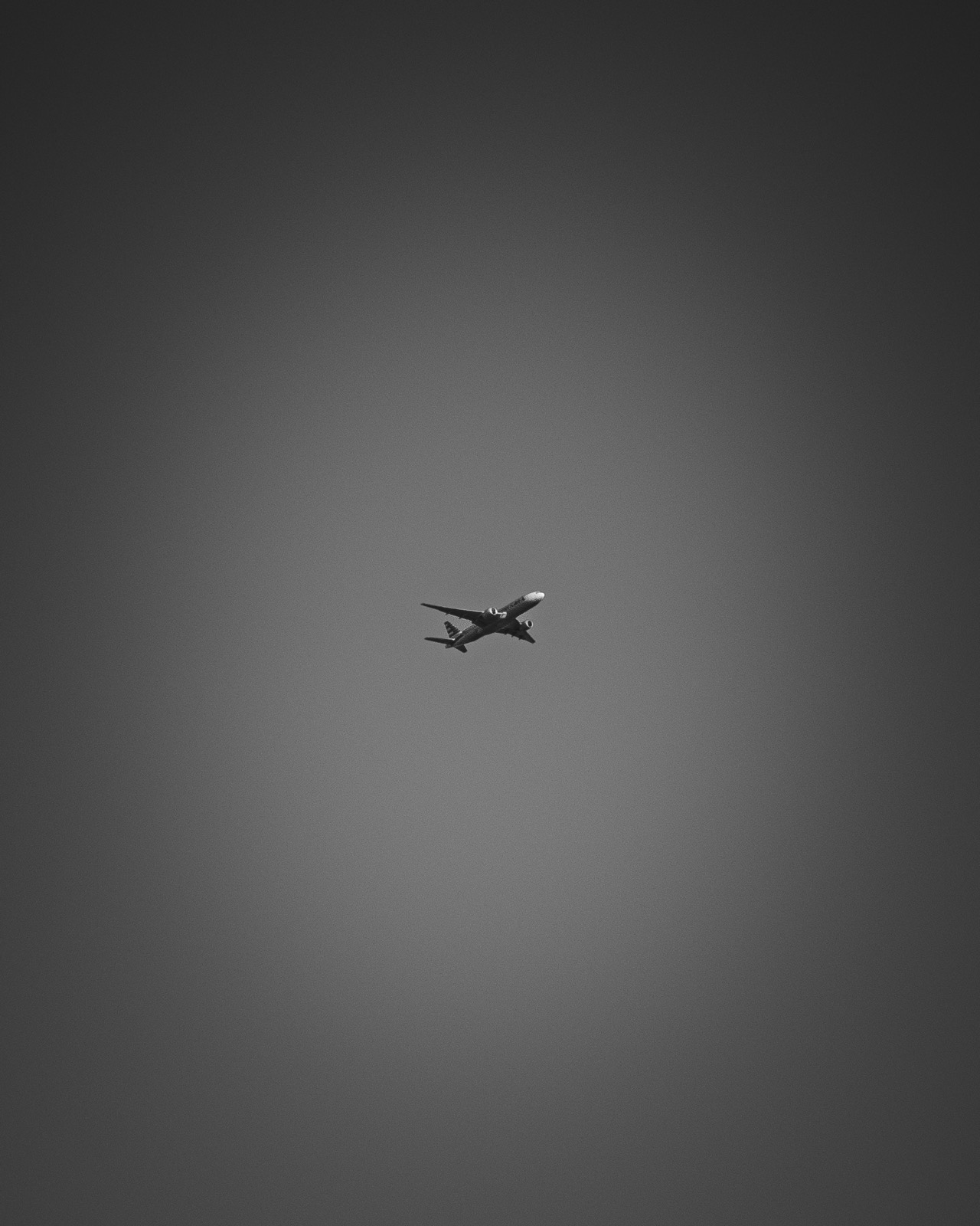 Flugzeug am grauen Himmel
