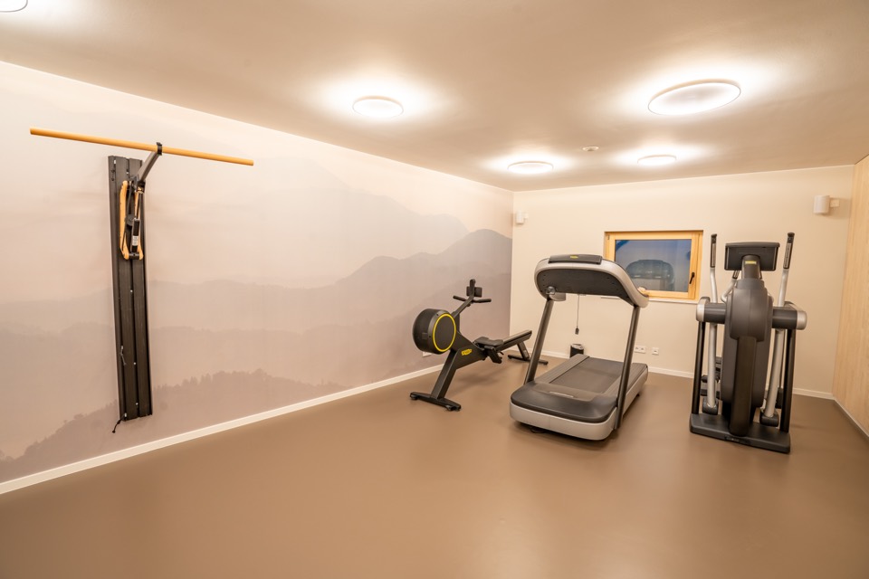Fitnessraum mit Rudergerät, Laufband und Crosstrainer