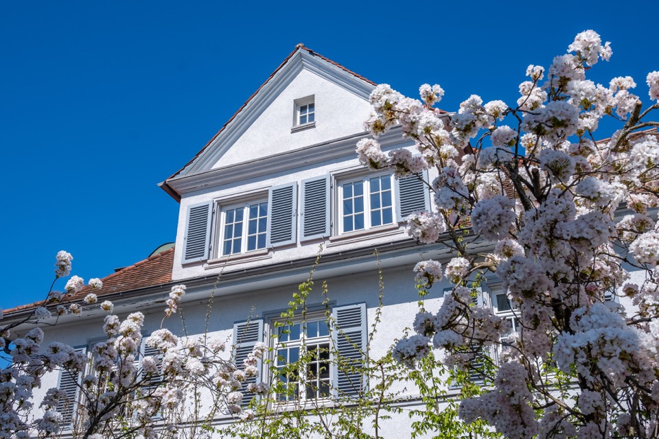 Villa von unten durch blühende Kirschzweige