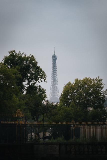 Eiffelturm hinter Bäumen und einem Gitter